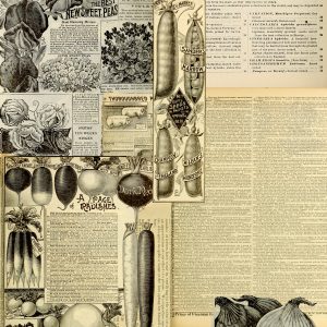 Early Sweet Peas Junk Journal Page