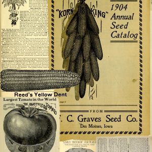 Yellow Dent Junk Journal Page