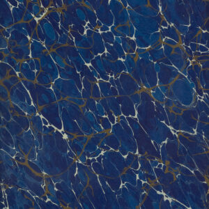 Blue Veined Antique Book Page w/Sample