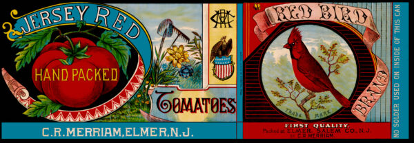 CR Merriam Red Bird Hand Packed Jersey Red Tomatoes Salem County Elmer New Jersey Label