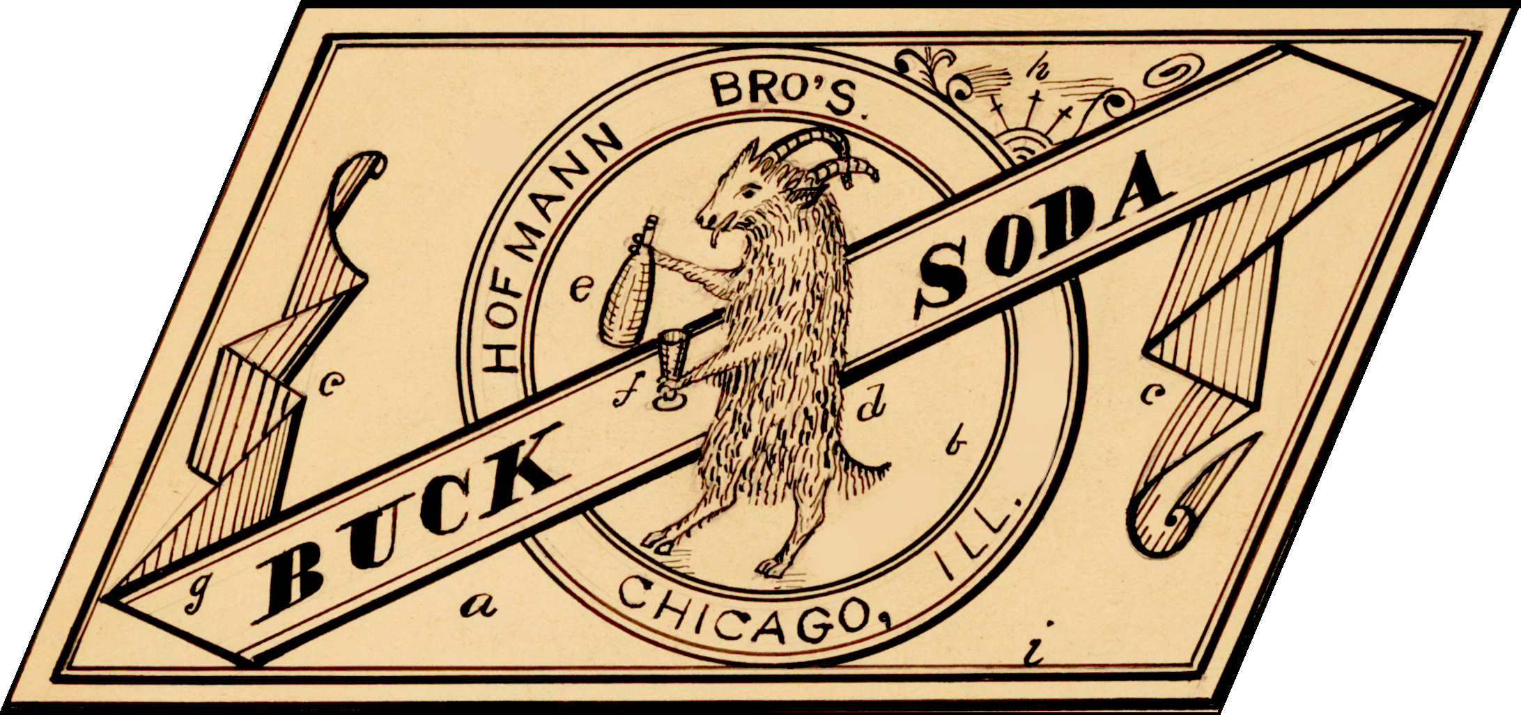 Hofmann Bros Buck Soda Chicago Illinois Label