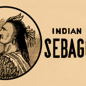 Indian Sebago Nerve Tonic Label