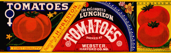 Webster Celebrated Luncheon Tomatoes Hartford Maryland Label