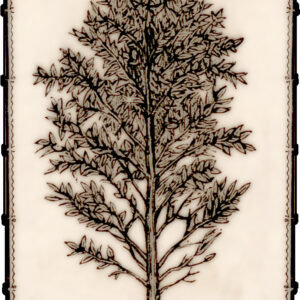 J Vergnole Eucalyptus Bitters Label