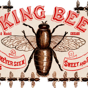 Wengler and Mandell King Bee Cigars Its Equal Never Seen Chicago Label