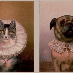 Dog and Cat Portrait Victorian Trade Card