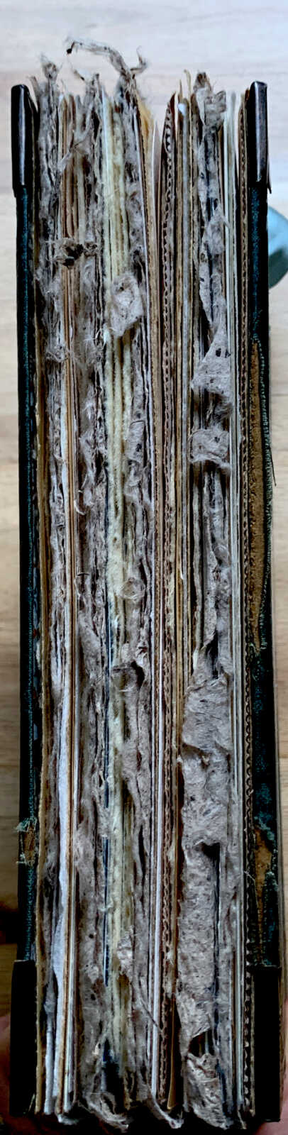 Coptic Bound 182 Page Handmade British Dramatists Junk Journal with Handtorn Paper in Antique Canvas Book Cover with Brass Edges & Ephemera - Image 12