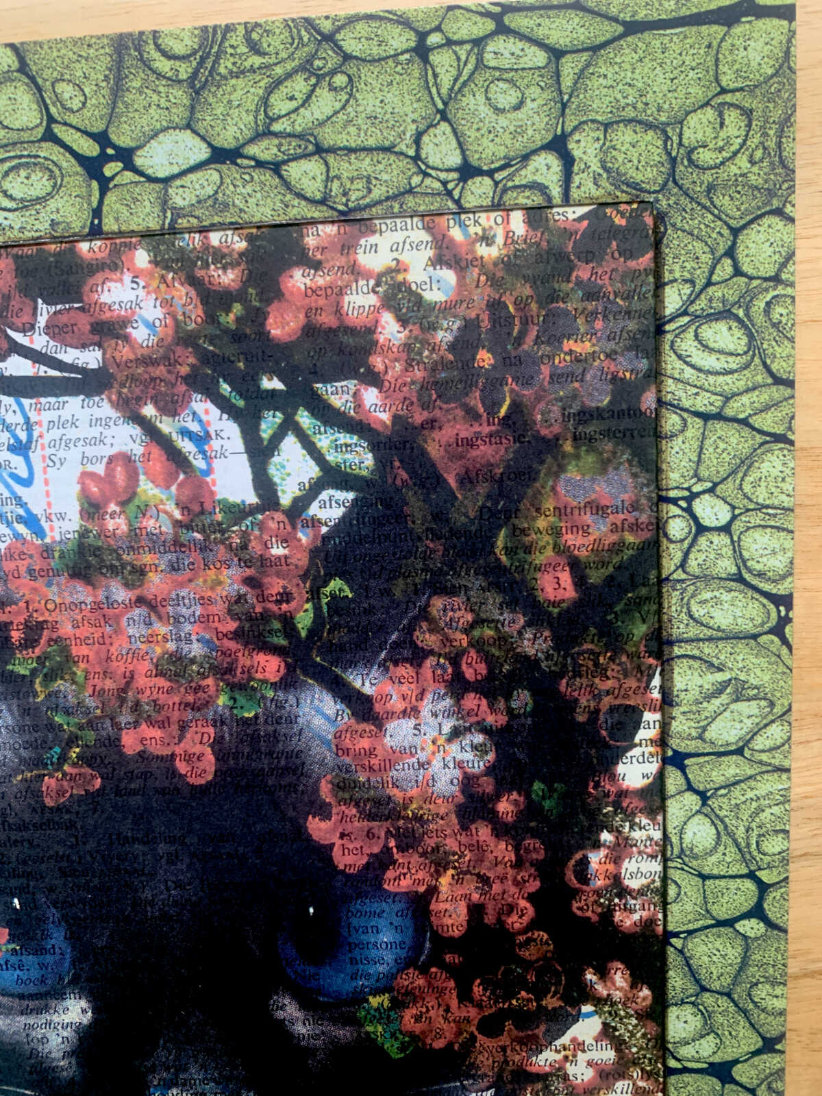 Blue Eyed White Cat with Pink Flowers on an Antique Afrikaans Encyclopedia Page 8 x 10" Folkart #SS312 - Image 5