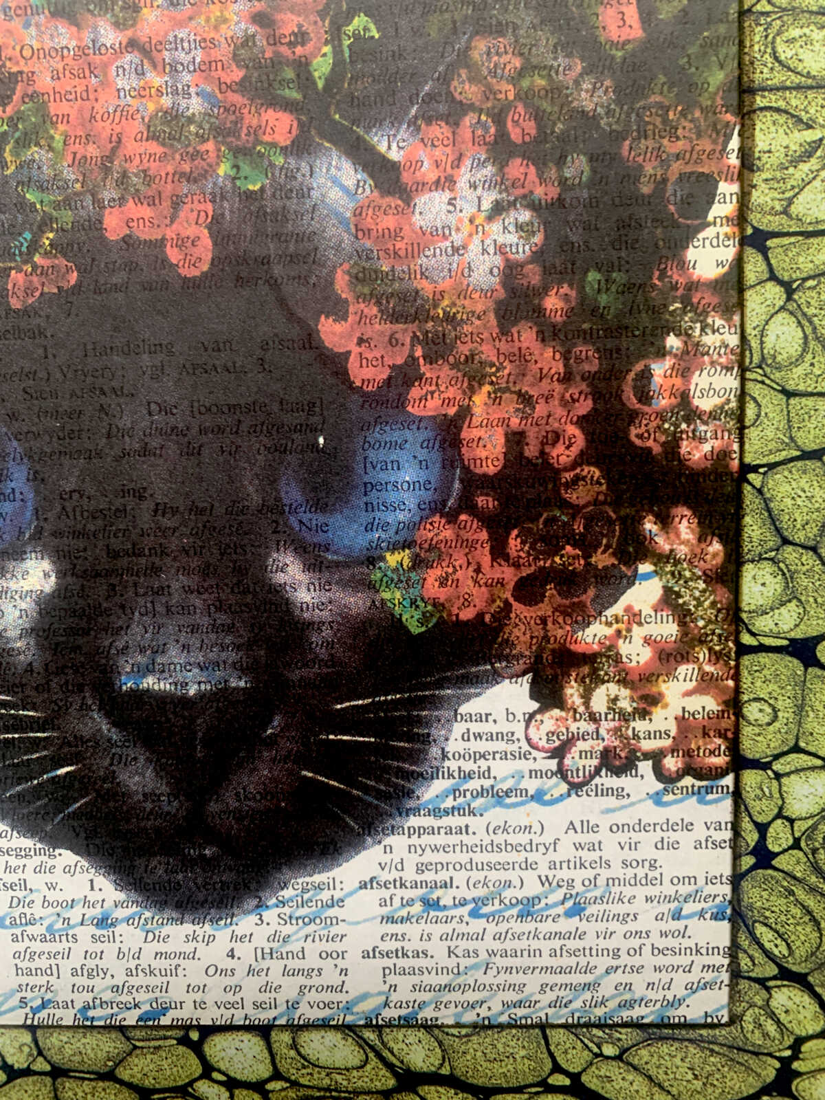 Blue Eyed White Cat with Pink Flowers on an Antique Afrikaans Encyclopedia Page 8 x 10" Folkart #SS312 - Image 2