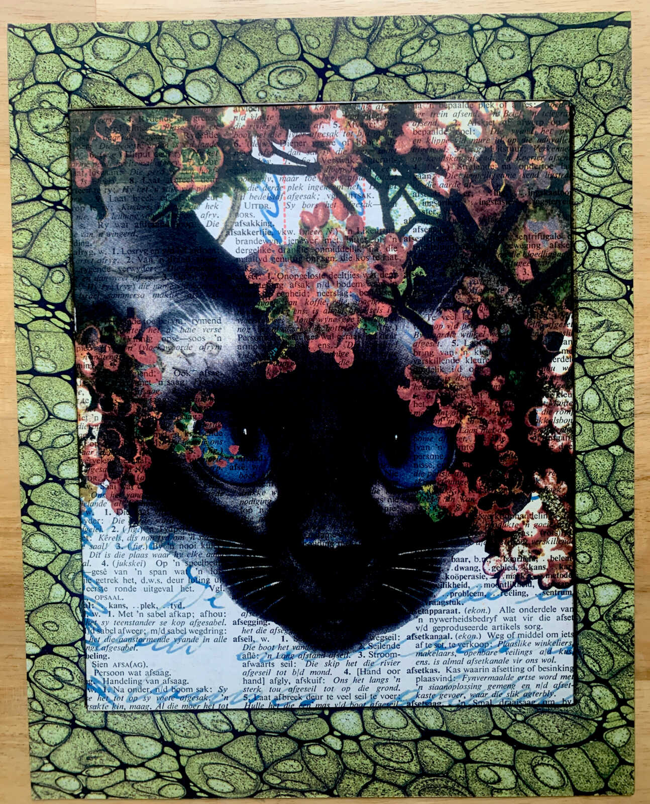 Blue Eyed White Cat with Pink Flowers on an Antique Afrikaans Encyclopedia Page 8 x 10" Folkart #SS312