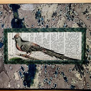 Smug eyed Long Tailed Bird on an Antique South African Capetown Directory Page 8 x 10" Folkart #SS330