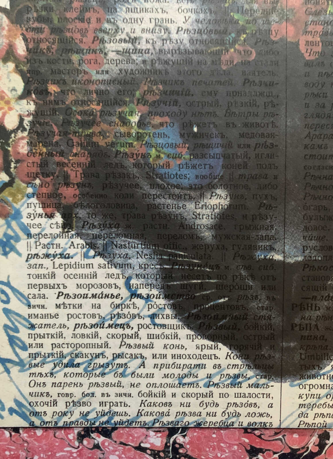 Blue Eyed White Cat with Pink Flowers on an Antique Cyrillic Dictionary Page 8 x 10" Folkart #SS327 - Image 8