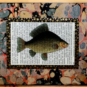 Fat Embarrassed Fish Lithograph on an Antique Dialogues Avec les Animaux French Book Page 8 x 10" Folkart #SS326