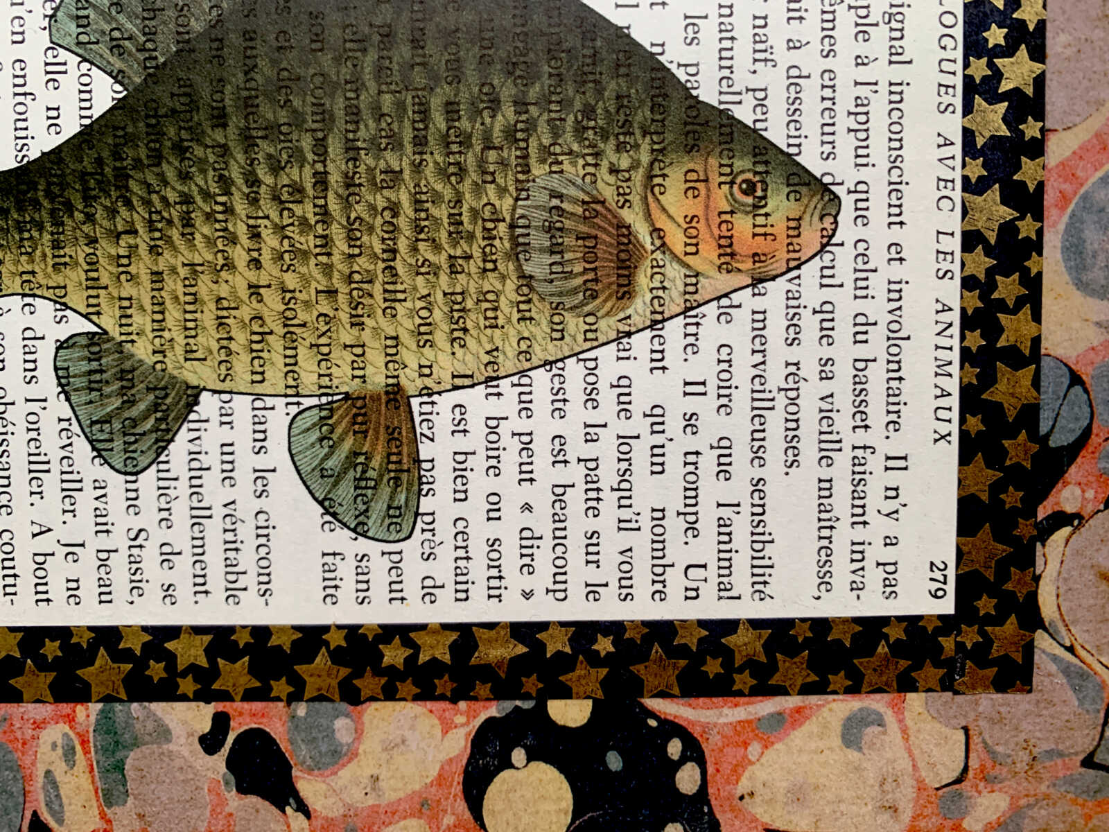 Fat Embarrassed Fish Lithograph on an Antique Dialogues Avec les Animaux French Book Page 8 x 10" Folkart #SS326 - Image 4