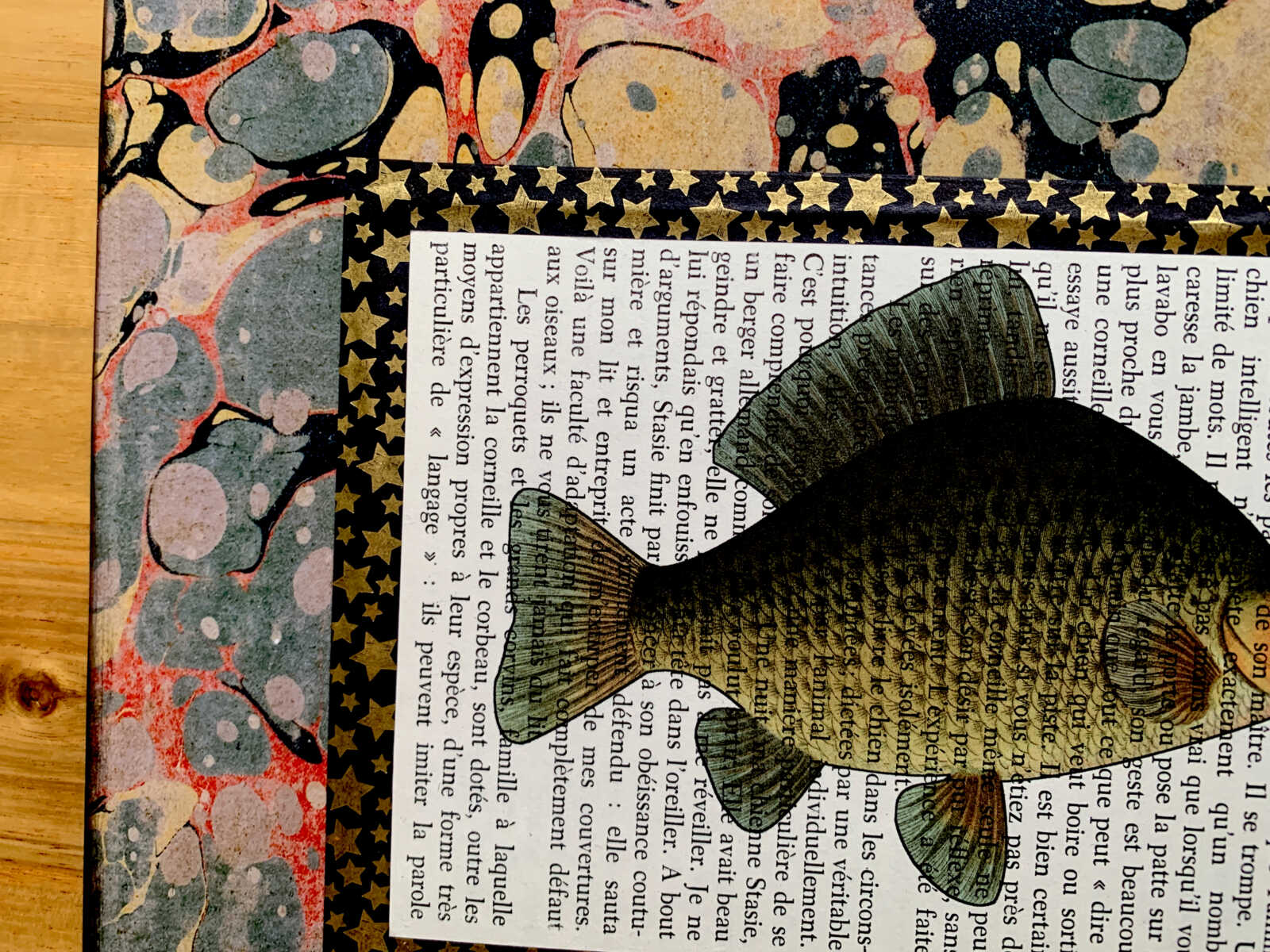 Fat Embarrassed Fish Lithograph on an Antique Dialogues Avec les Animaux French Book Page 8 x 10" Folkart #SS326 - Image 3