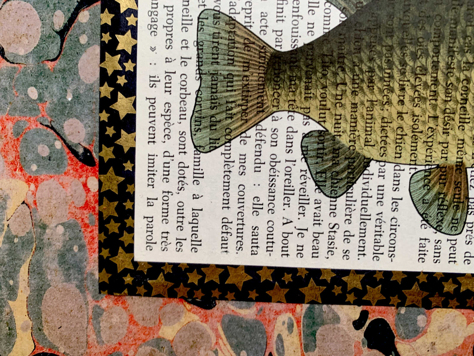 Fat Embarrassed Fish Lithograph on an Antique Dialogues Avec les Animaux French Book Page 8 x 10" Folkart #SS326 - Image 2
