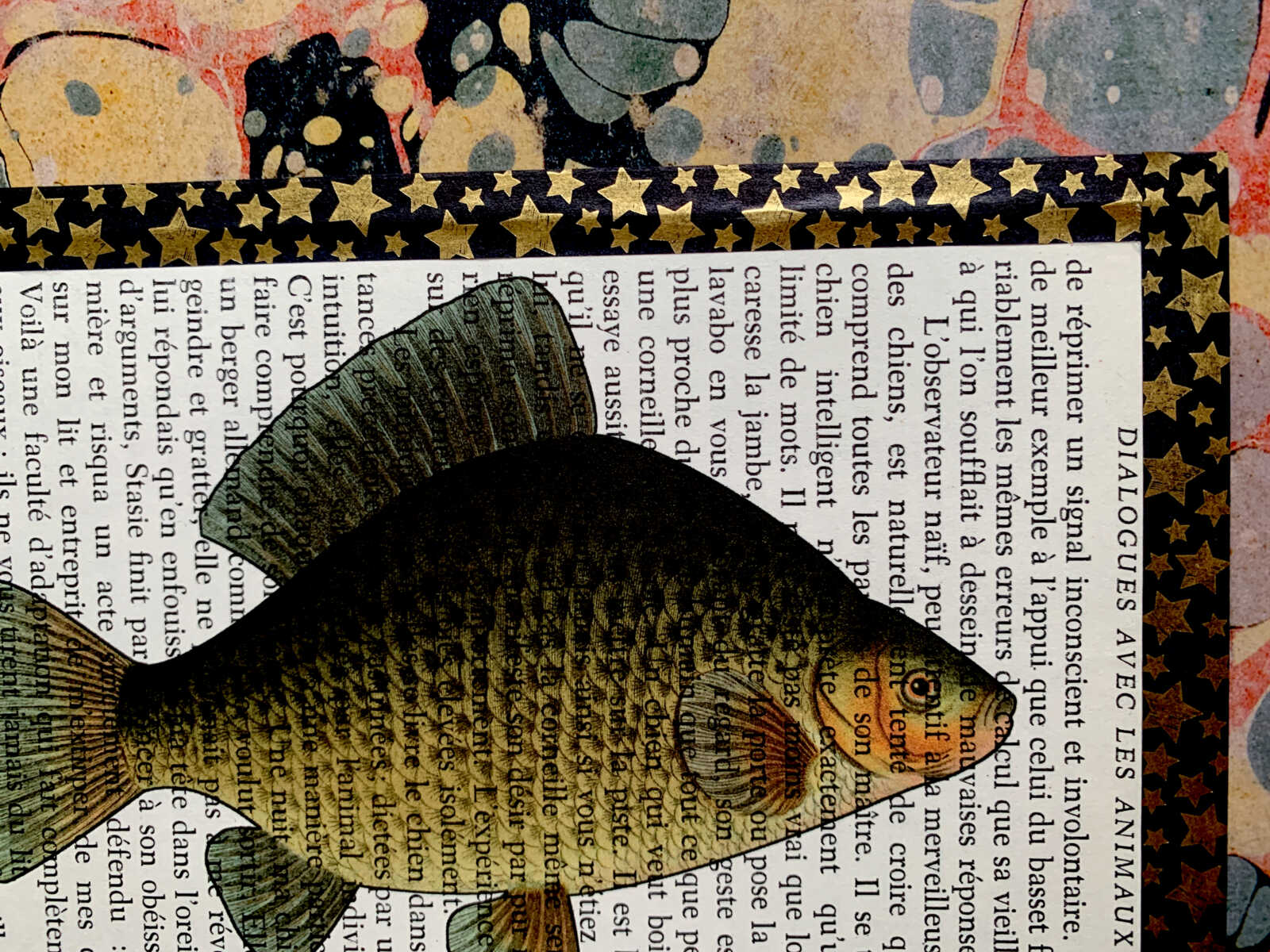 Fat Embarrassed Fish Lithograph on an Antique Dialogues Avec les Animaux French Book Page 8 x 10" Folkart #SS326 - Image 9