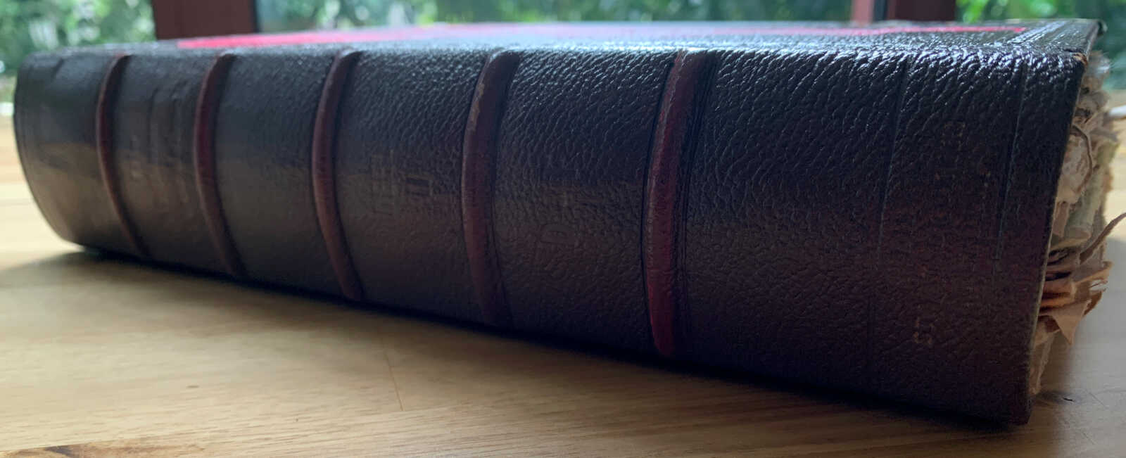 398 Page Coptic Bound Bridal Pink Elephant Junk Journal with Handtorn Paper in Antique Leather Book Cover with Brass Edges - Image 11