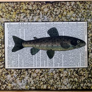 Slim Spot-Bellied Fish Lithograph on an Antique Pears Cyclopedia General Information Page 8 x 10" Folkart #SS320