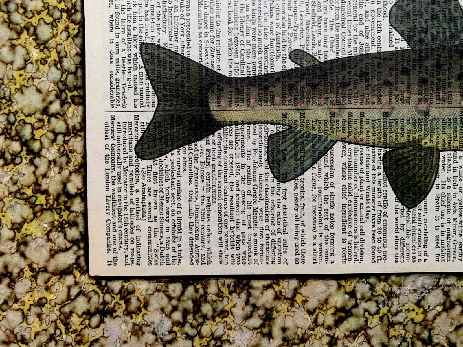 Slim Spot-Bellied Fish Lithograph on an Antique Pears Cyclopedia General Information Page 8 x 10" Folkart #SS320 - Image 2