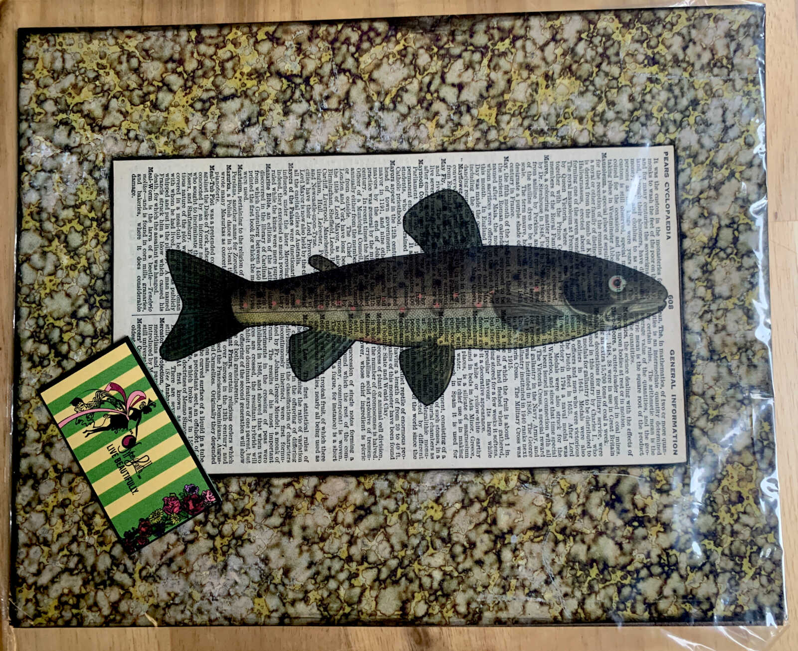 Slim Spot-Bellied Fish Lithograph on an Antique Pears Cyclopedia General Information Page 8 x 10" Folkart #SS320 - Image 3
