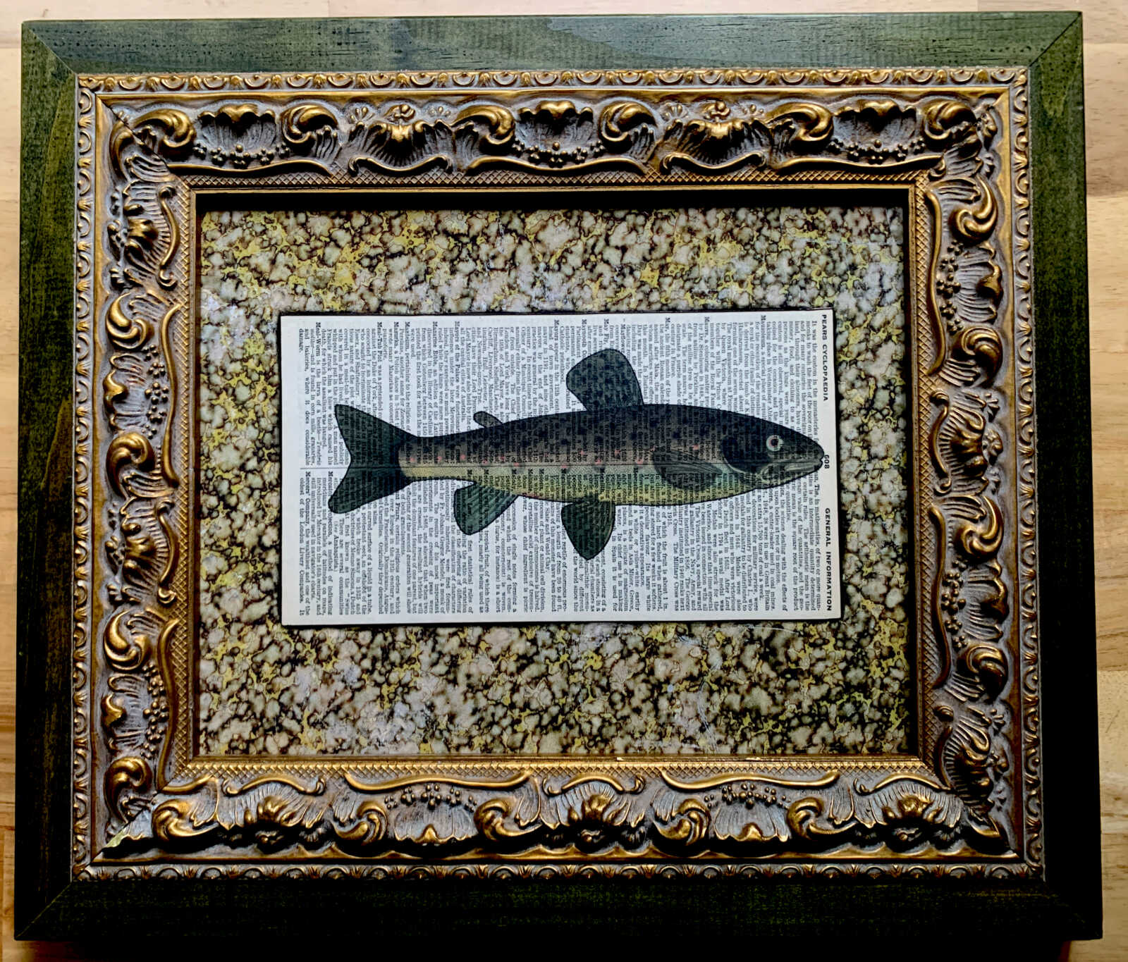Slim Spot-Bellied Fish Lithograph on an Antique Pears Cyclopedia General Information Page 8 x 10" Folkart #SS320 - Image 9
