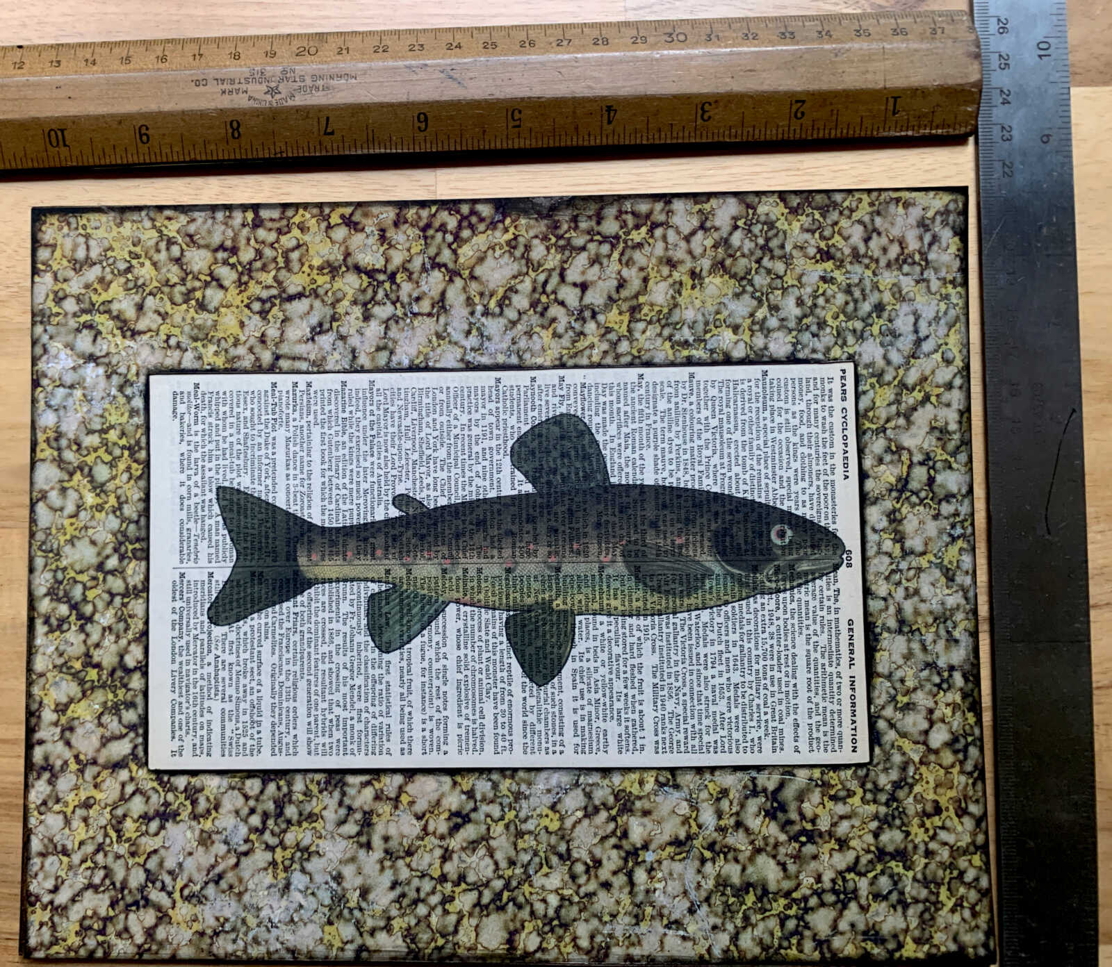 Slim Spot-Bellied Fish Lithograph on an Antique Pears Cyclopedia General Information Page 8 x 10" Folkart #SS320 - Image 5