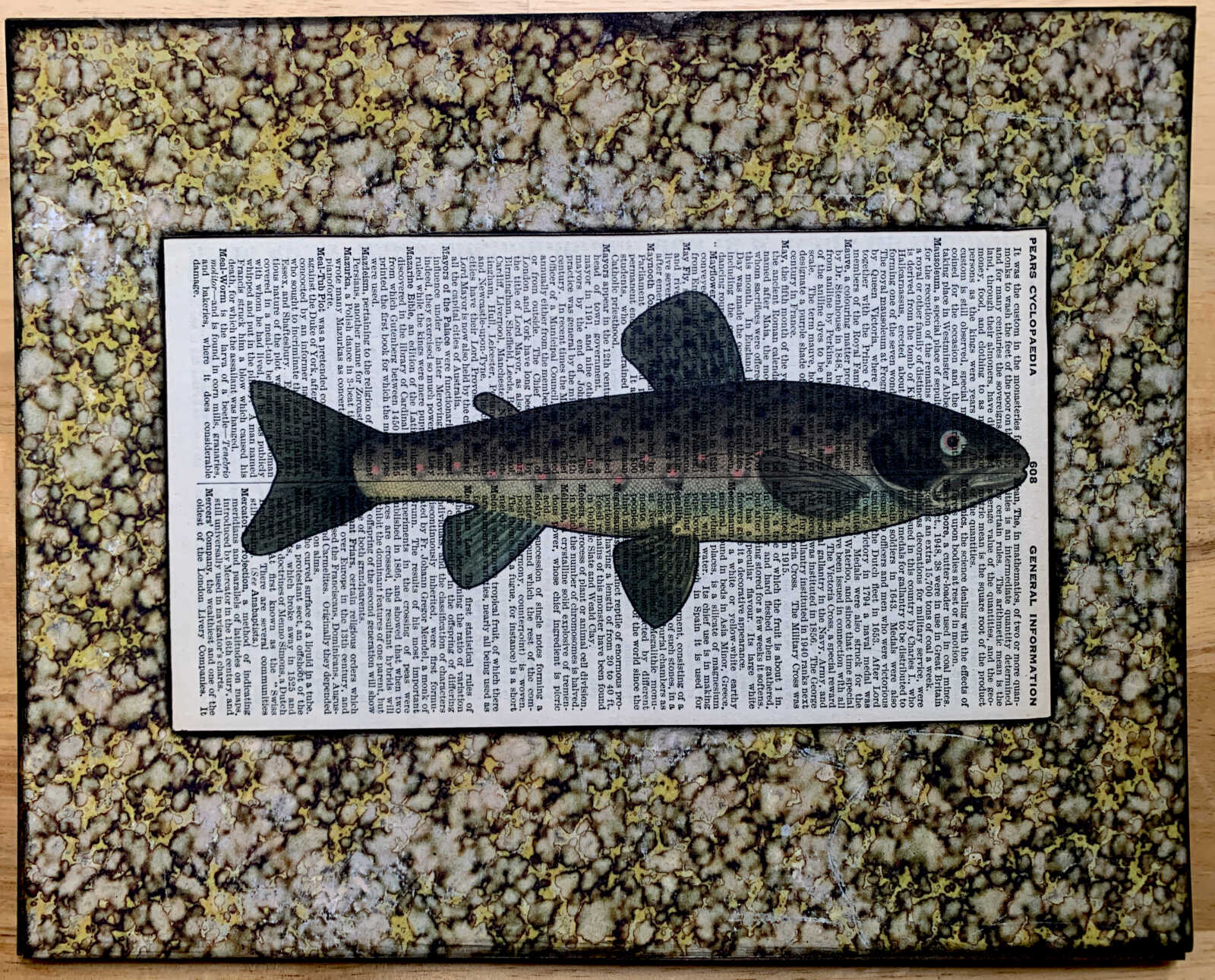 Slim Spot-Bellied Fish Lithograph on an Antique Pears Cyclopedia General Information Page 8 x 10" Folkart #SS320