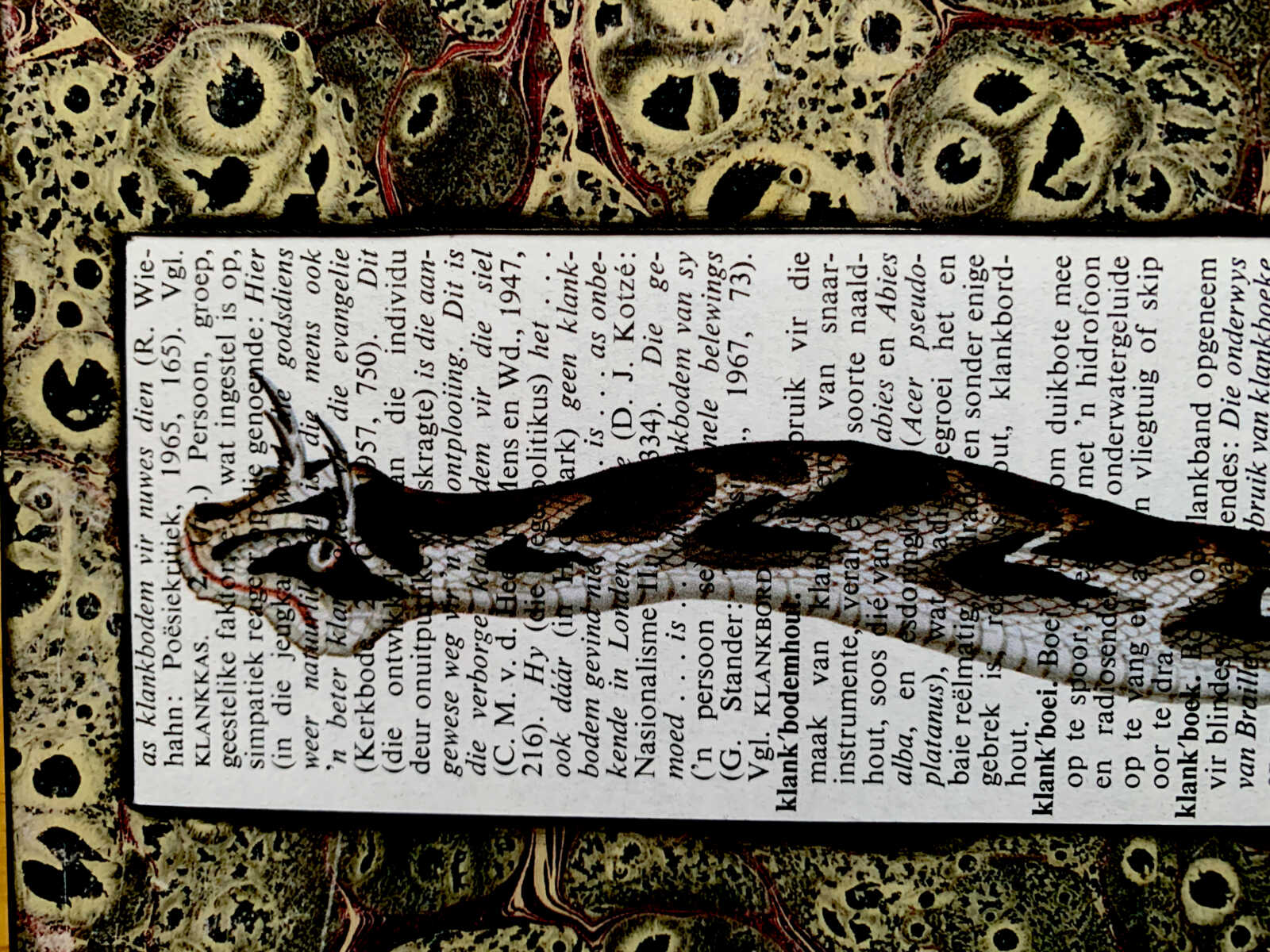 Cheerful Curly Eyebrow Snake on an Antique South African Encyclopedia Page 8 x 10" Folkart #SS321 - Image 7