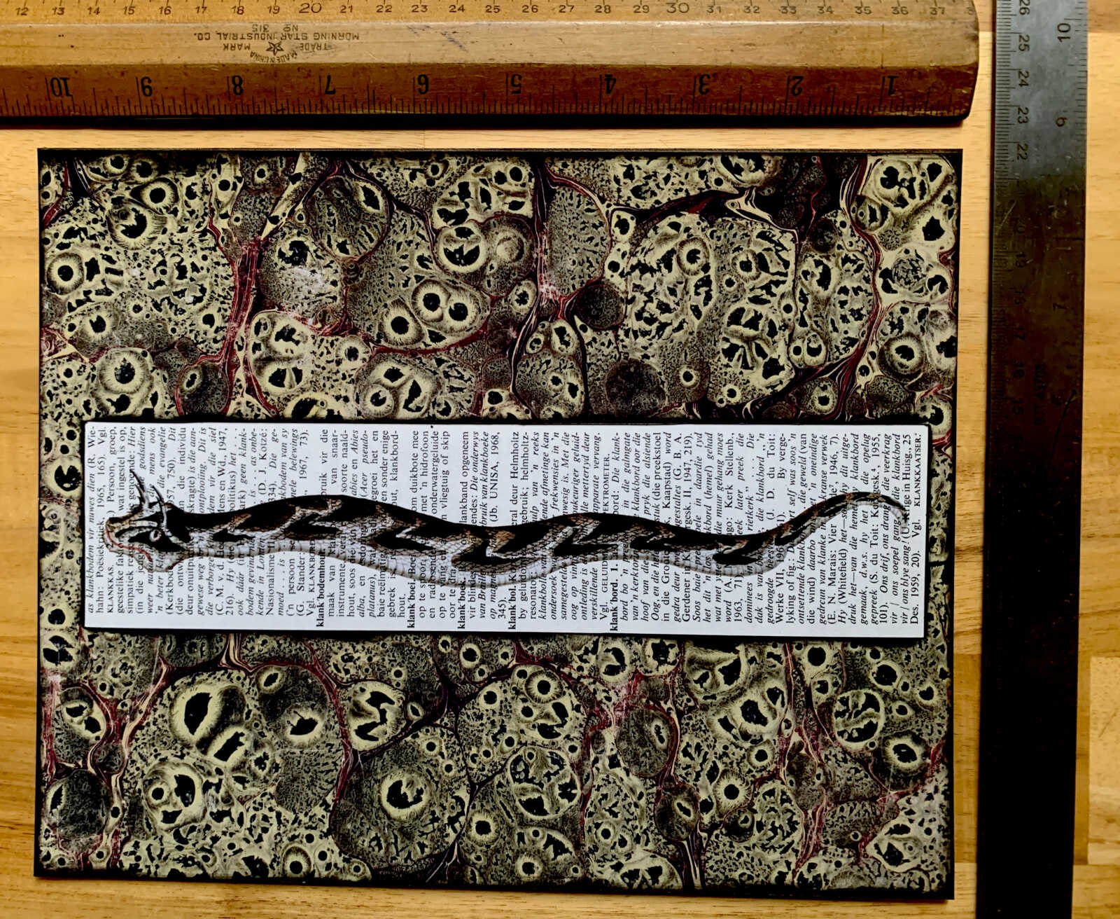 Cheerful Curly Eyebrow Snake on an Antique South African Encyclopedia Page 8 x 10" Folkart #SS321 - Image 8