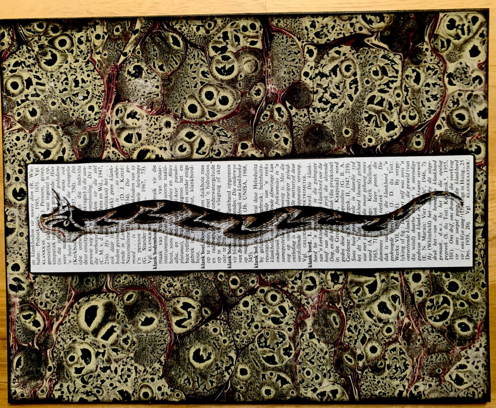Cheerful Curly Eyebrow Snake on an Antique South African Encyclopedia Page 8 x 10" Folkart #SS321