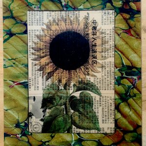 Antique Sunflower on a Yellowed Modern Chinese Newspaper Page 8 x 10" Folkart #SS309