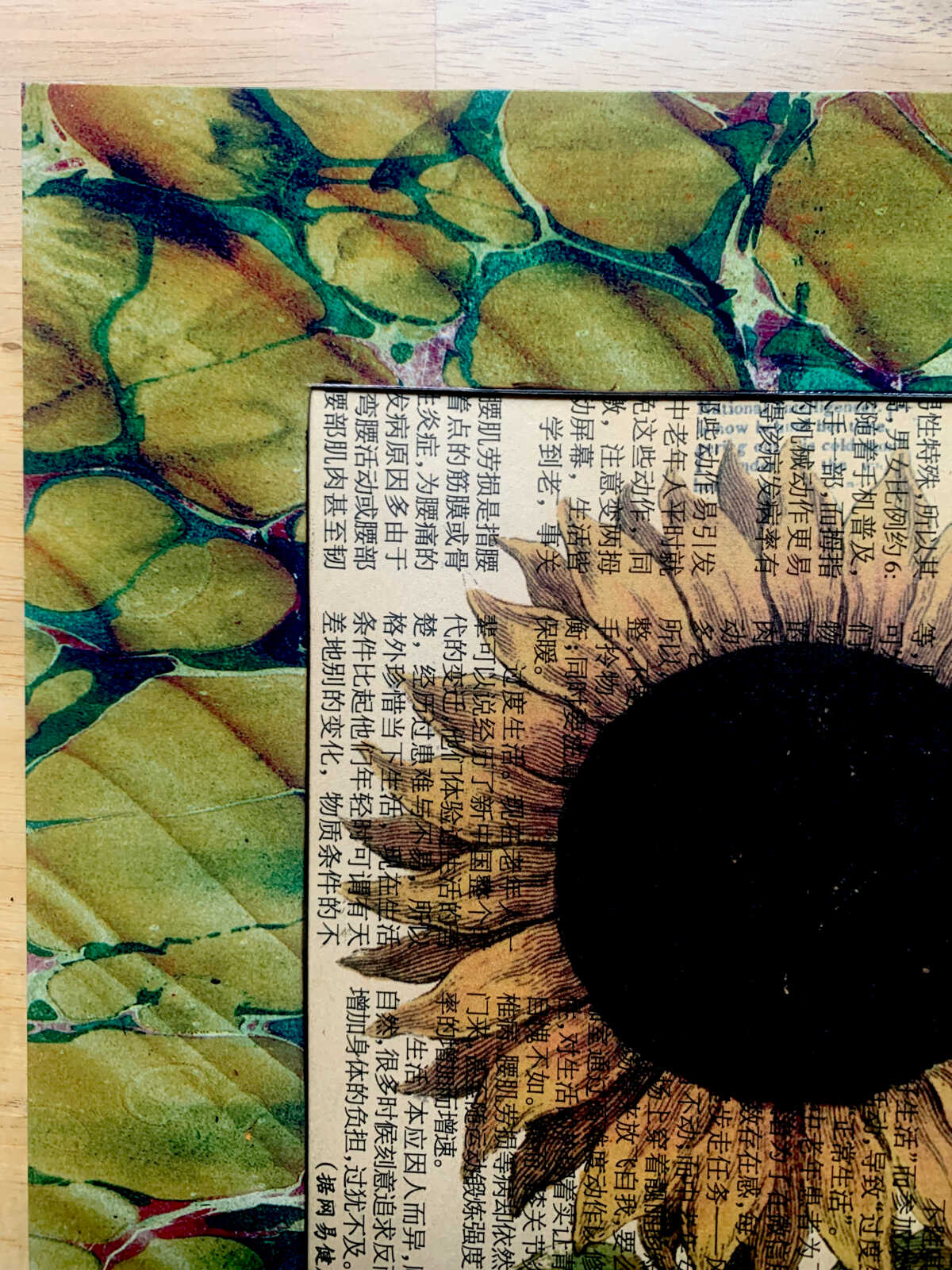 Antique Sunflower on a Yellowed Modern Chinese Newspaper Page 8 x 10" Folkart #SS309 - Image 7