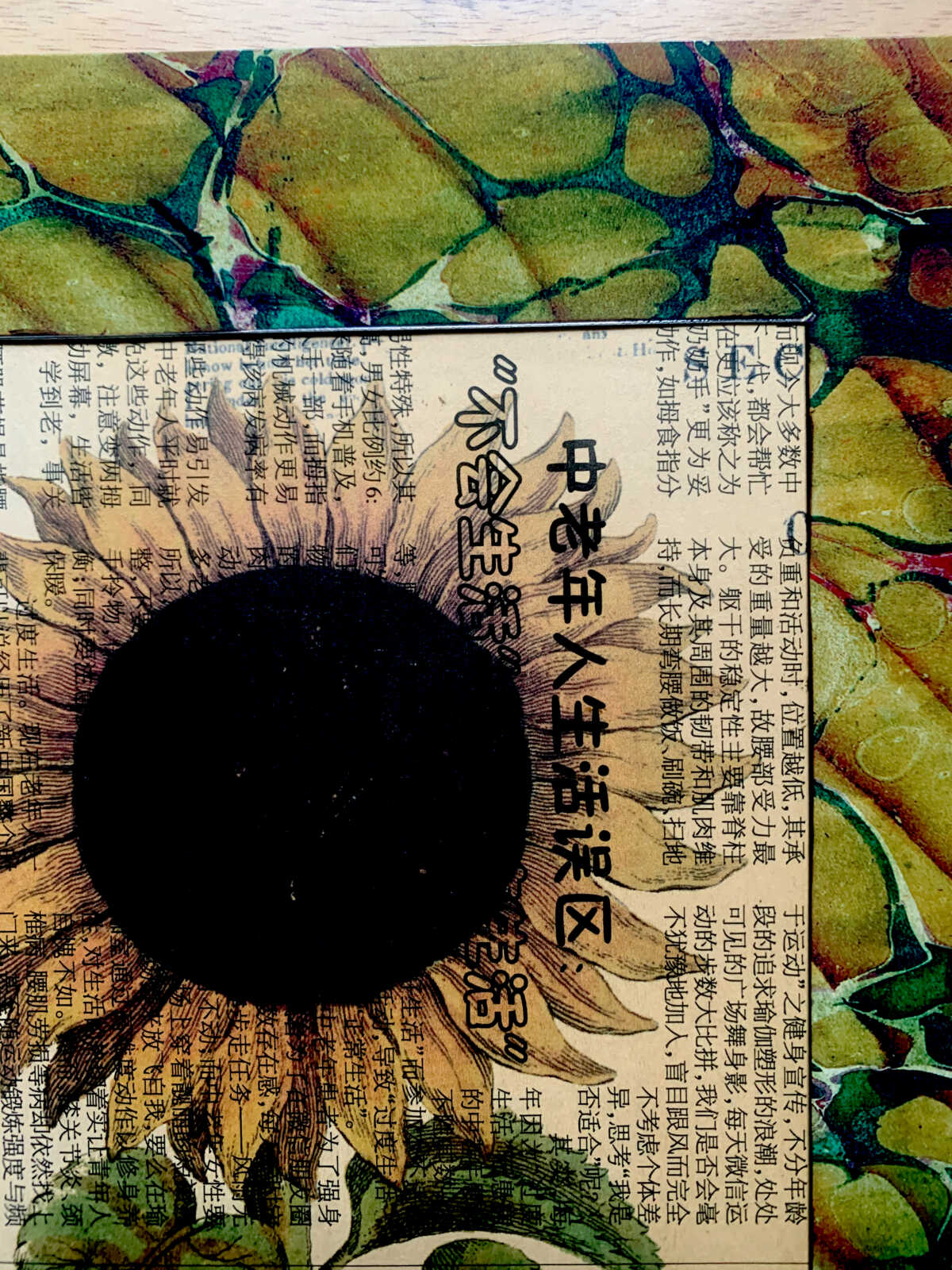 Antique Sunflower on a Yellowed Modern Chinese Newspaper Page 8 x 10" Folkart #SS309 - Image 8