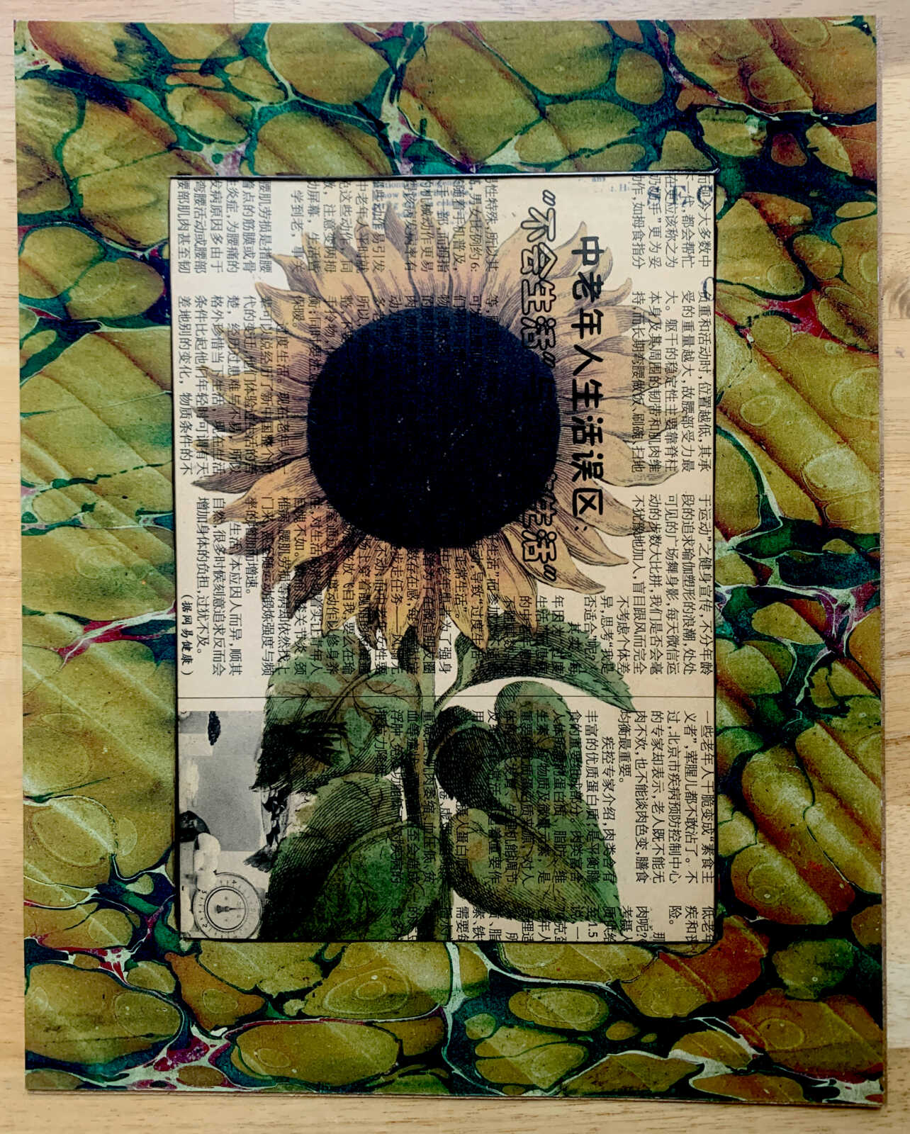 Antique Sunflower on a Yellowed Modern Chinese Newspaper Page 8 x 10" Folkart #SS309