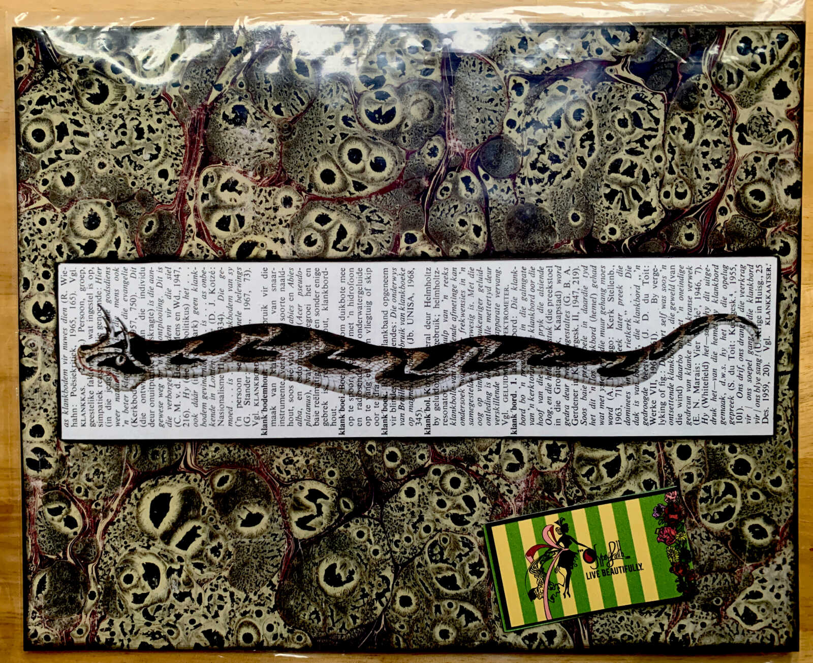 Cheerful Curly Eyebrow Snake on an Antique South African Encyclopedia Page 8 x 10" Folkart #SS321 - Image 3