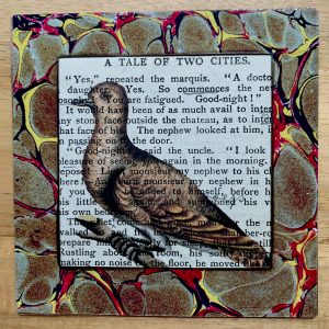 Calm Pigeon on Antique Book Page 4 x 4" Folkart #DSO146