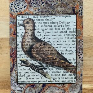 Calm Eyed Dove Lithograph on Antique Book Page 3 x 5" Folkart #CSL13