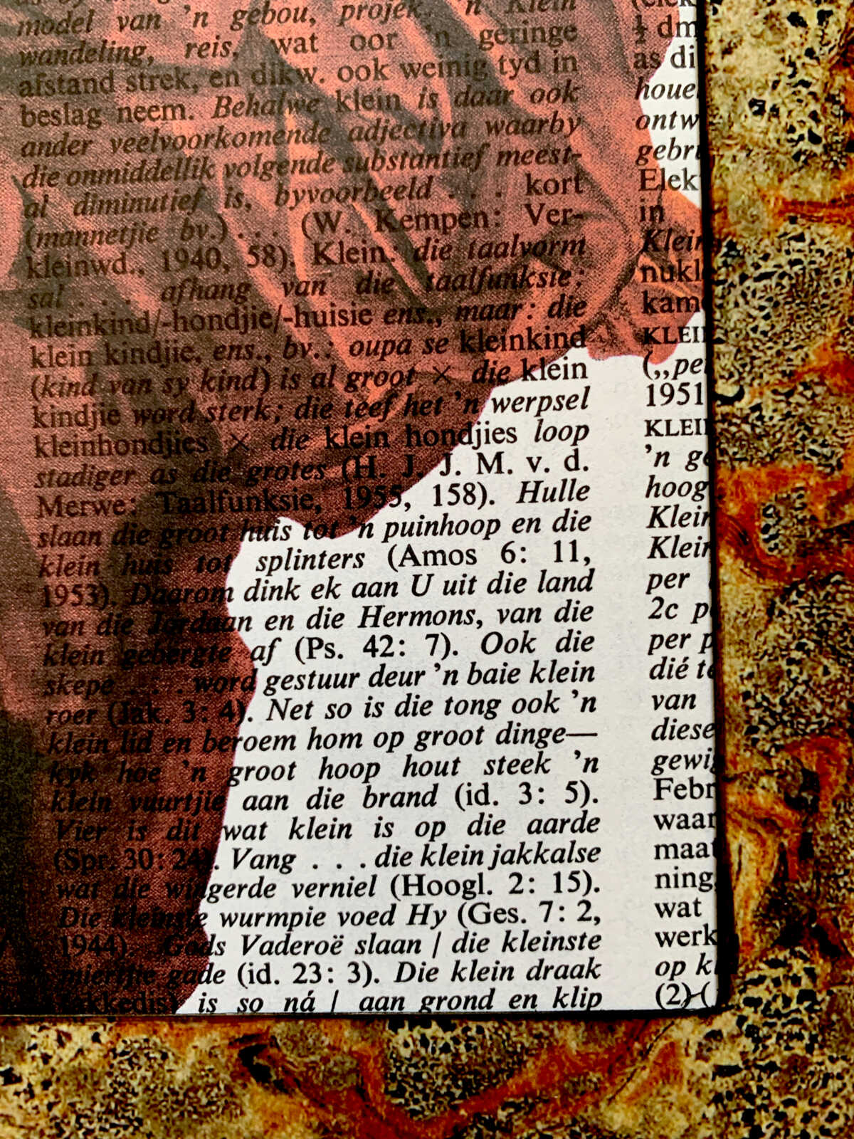 Blown Man Straining on an Antique Afrikaans Encyclopedia Page 8 x 10" Folkart #SS347 - Image 5