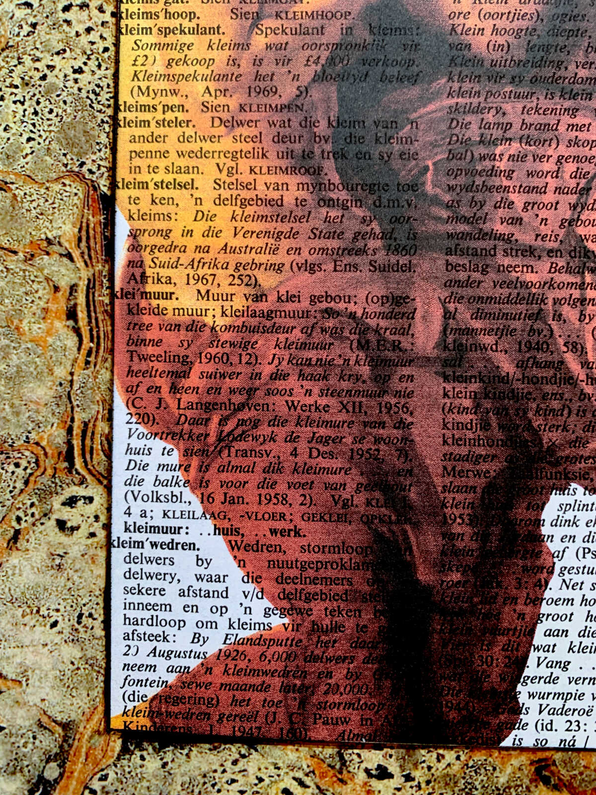 Blown Man Straining on an Antique Afrikaans Encyclopedia Page 8 x 10" Folkart #SS347 - Image 9