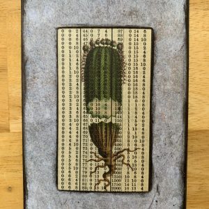 Victorian Lithograph Cross Section Cactus on Antique Numbers Table 3 x 5" Folkart #CSL16