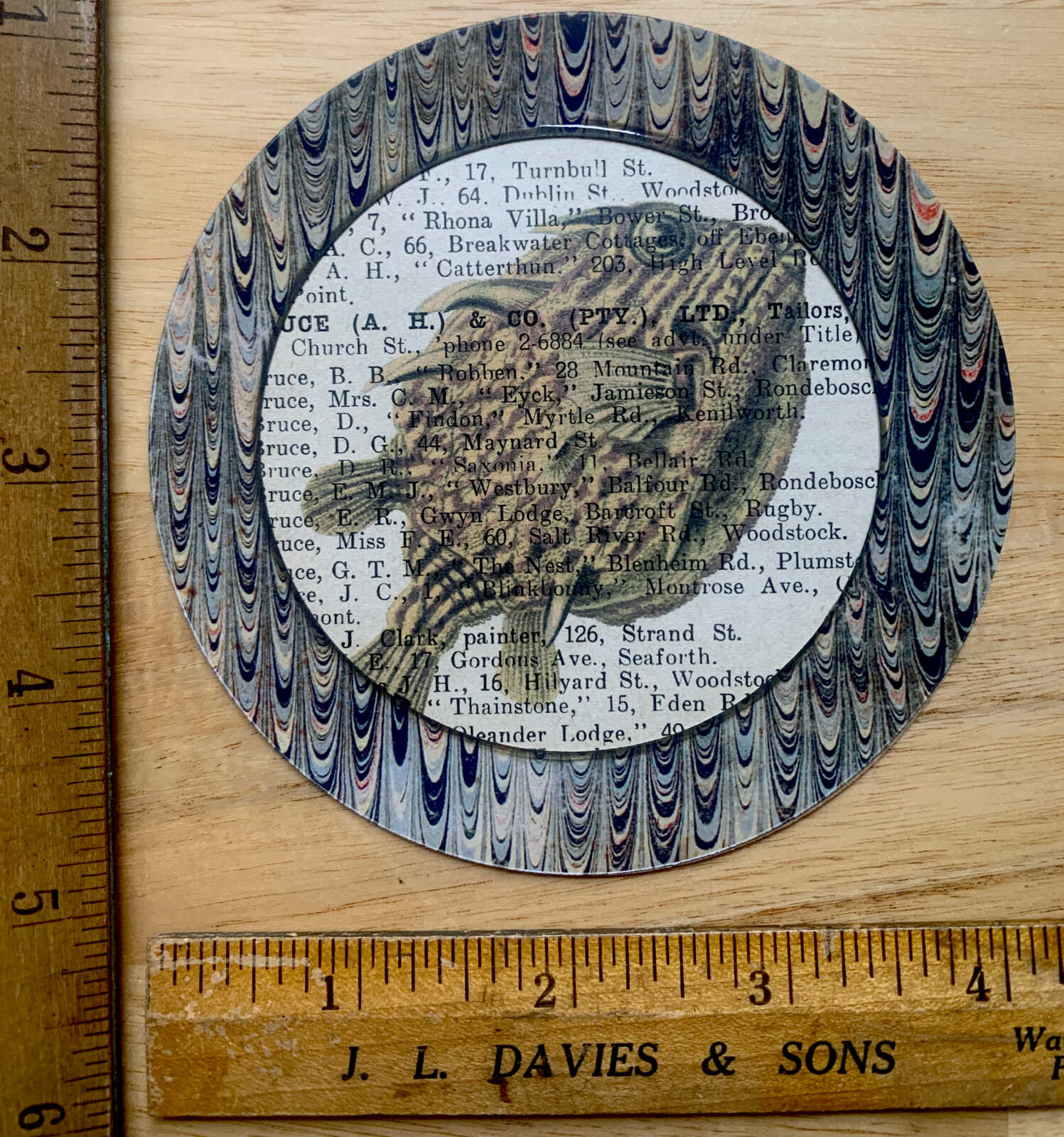Antique Lithograph of a Striped Fish on an Antique Book Page Round 4 x 4" Folkart #AS708 - Image 5