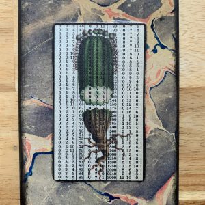 Victorian Lithograph Cross Section Cactus on Antique Numbers Table 3 x 5" Folkart #CSL18