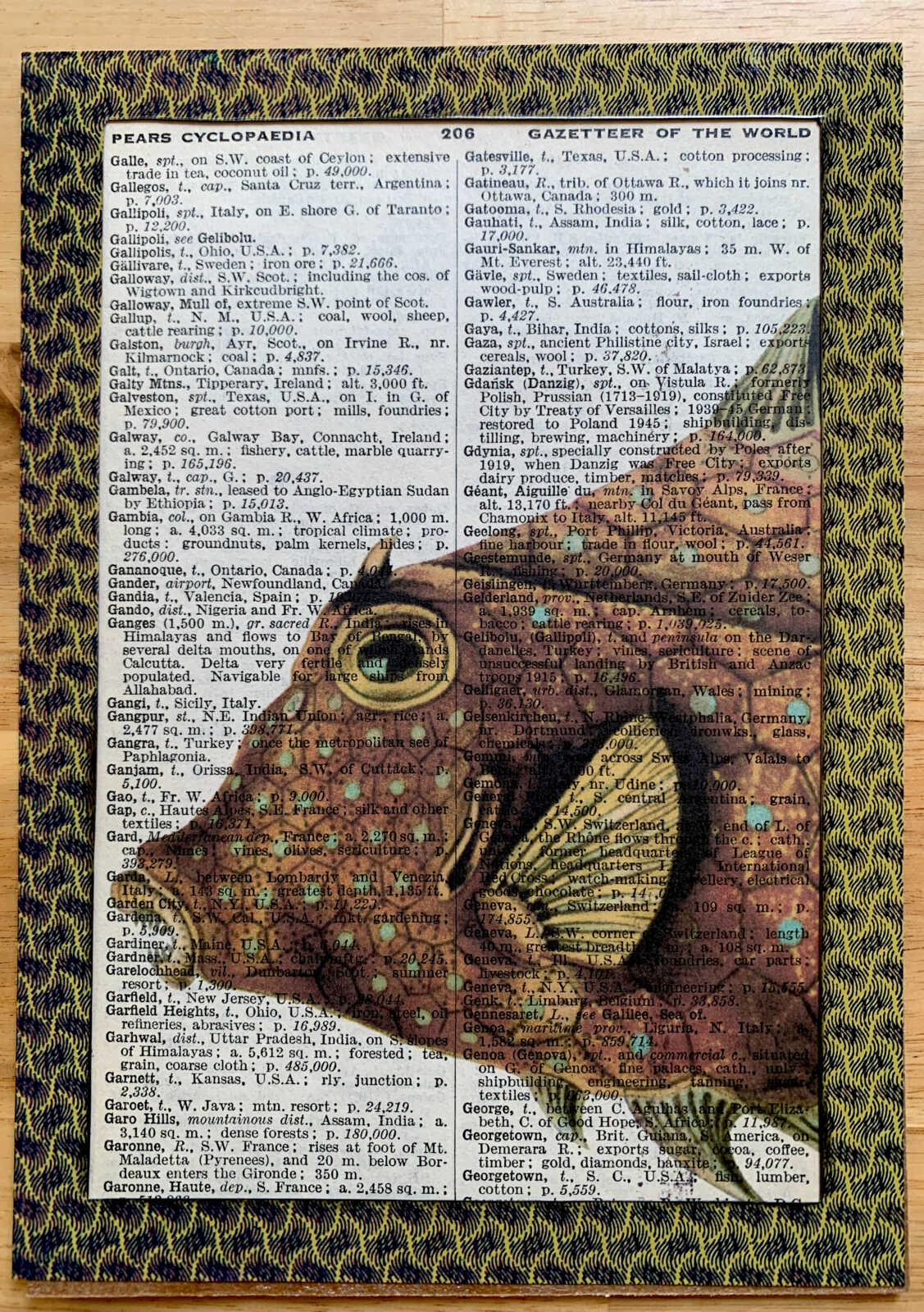 Ancient Orange Polka Dotted Toothy Fish on an Antique Pears Cyclopedia Page 5 x 7" Folkart #PS927