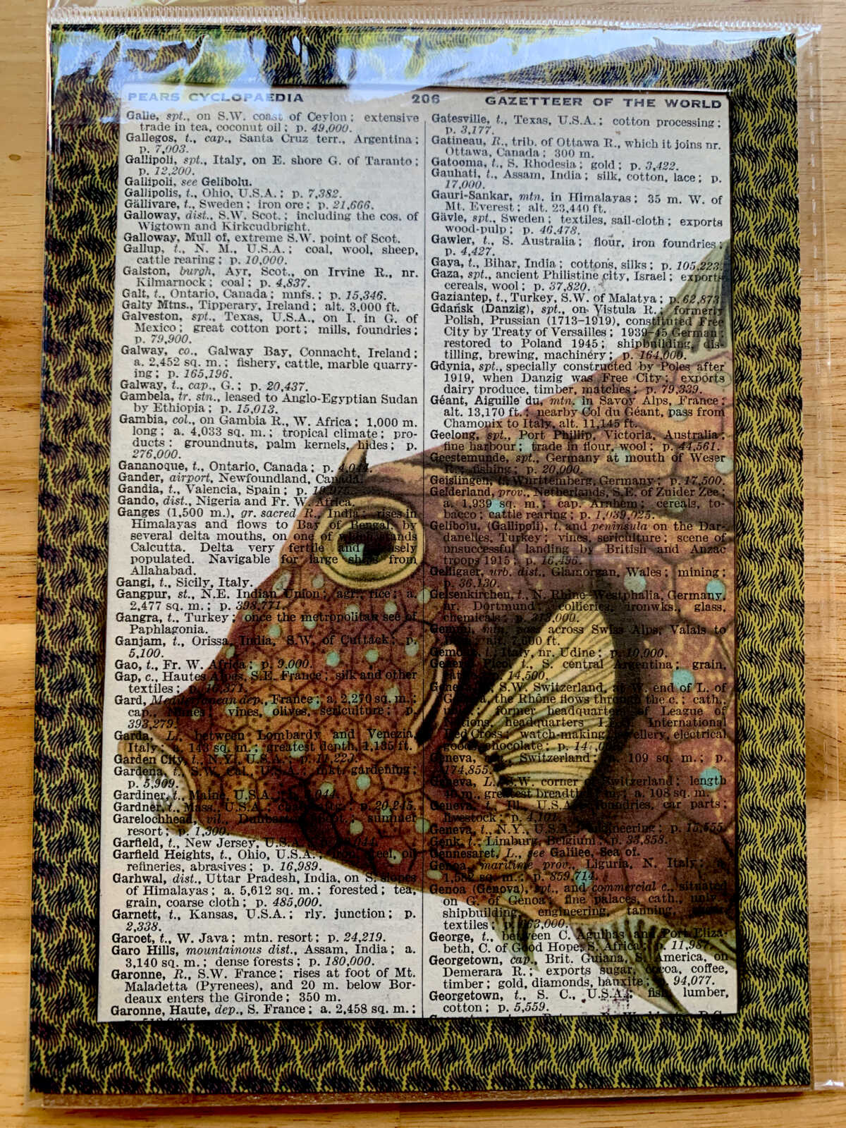 Ancient Orange Polka Dotted Toothy Fish on an Antique Pears Cyclopedia Page 5 x 7" Folkart #PS927 - Image 6