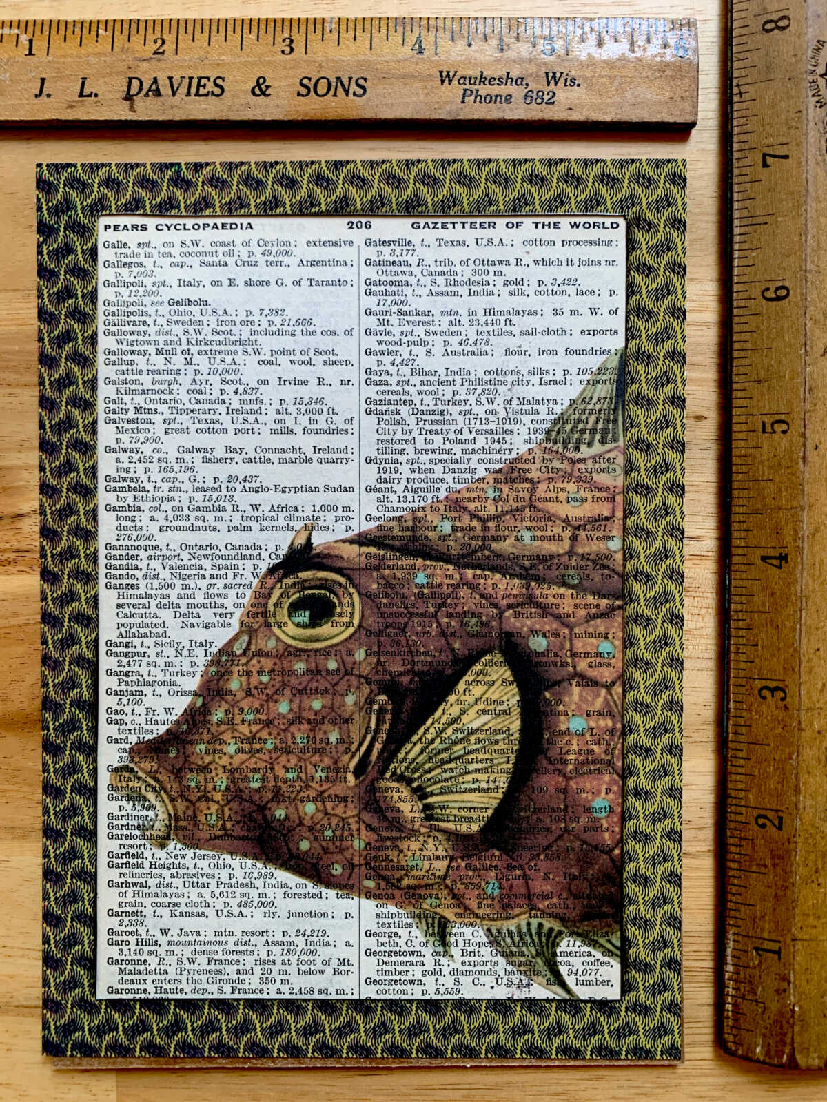 Ancient Orange Polka Dotted Toothy Fish on an Antique Pears Cyclopedia Page 5 x 7" Folkart #PS927 - Image 4
