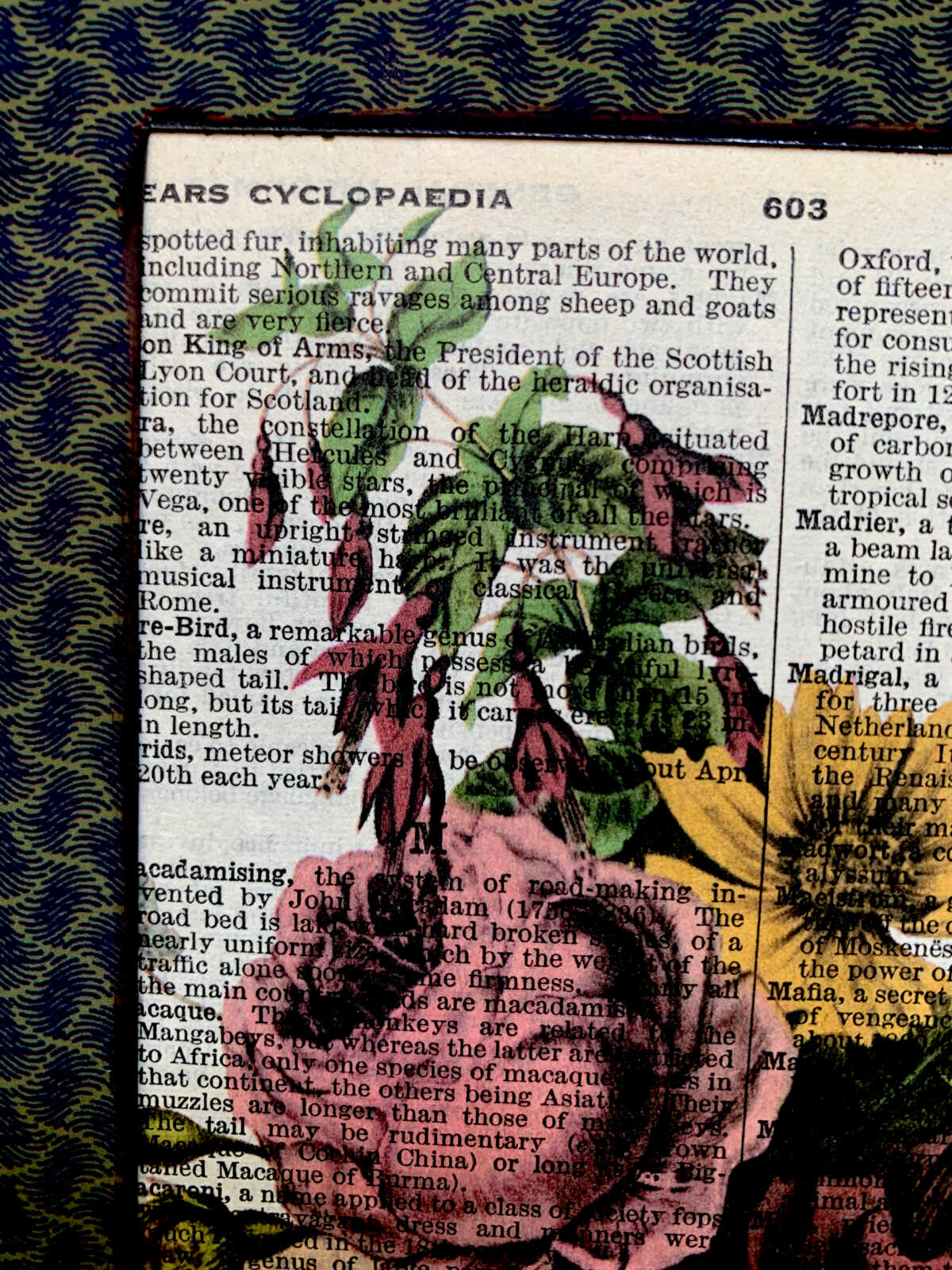 Victorian Nosegay Lithograph on an Antique Pears Cyclopedia Book Page 8 x 10" Folkart #SS336 - Image 10