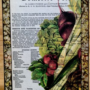 n Victorian Vegetable Lithograph on a Domestic Pets Antique Book Page 5 x 7" Folkart #PS914