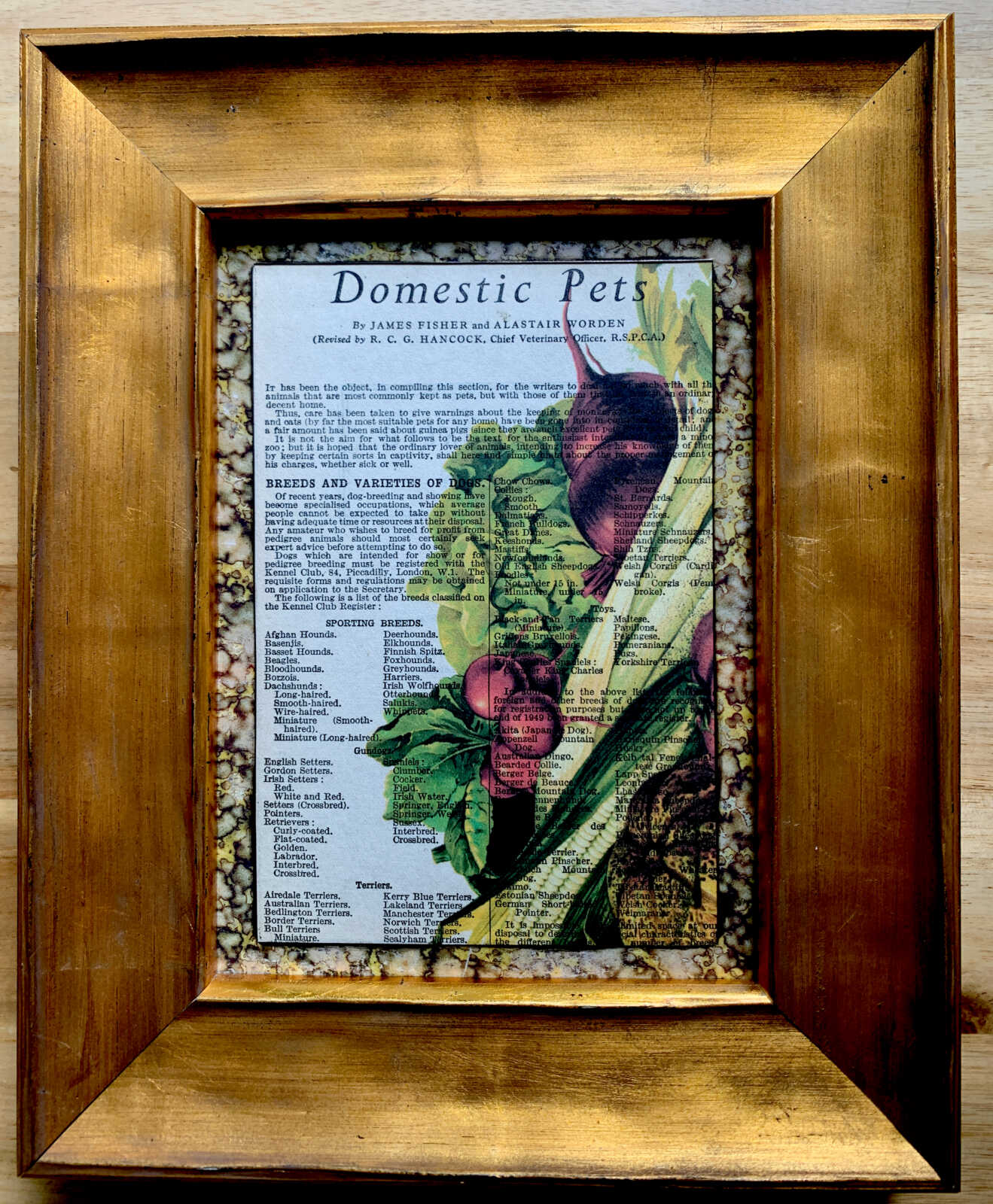 n Victorian Vegetable Lithograph on a Domestic Pets Antique Book Page 5 x 7" Folkart #PS914 - Image 6