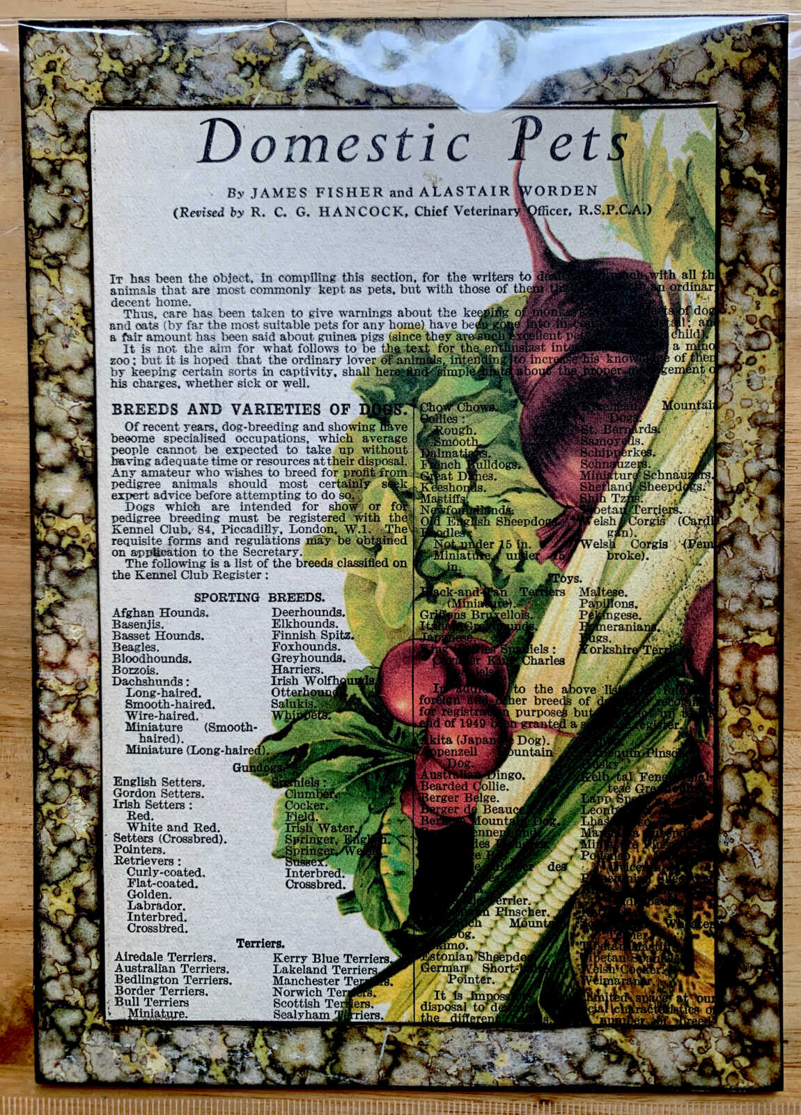 n Victorian Vegetable Lithograph on a Domestic Pets Antique Book Page 5 x 7" Folkart #PS914 - Image 3